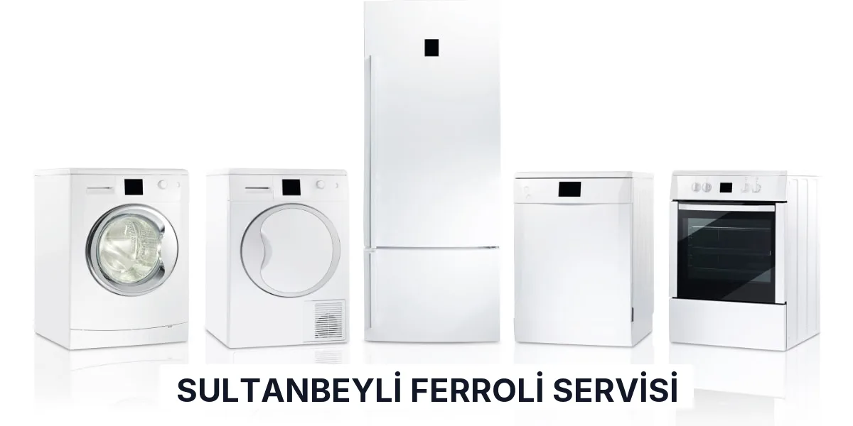 Sultanbeyli Ferroli Servisi