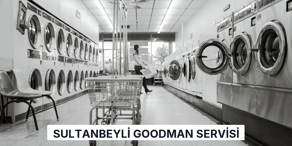 Sultanbeyli Goodman Servisi